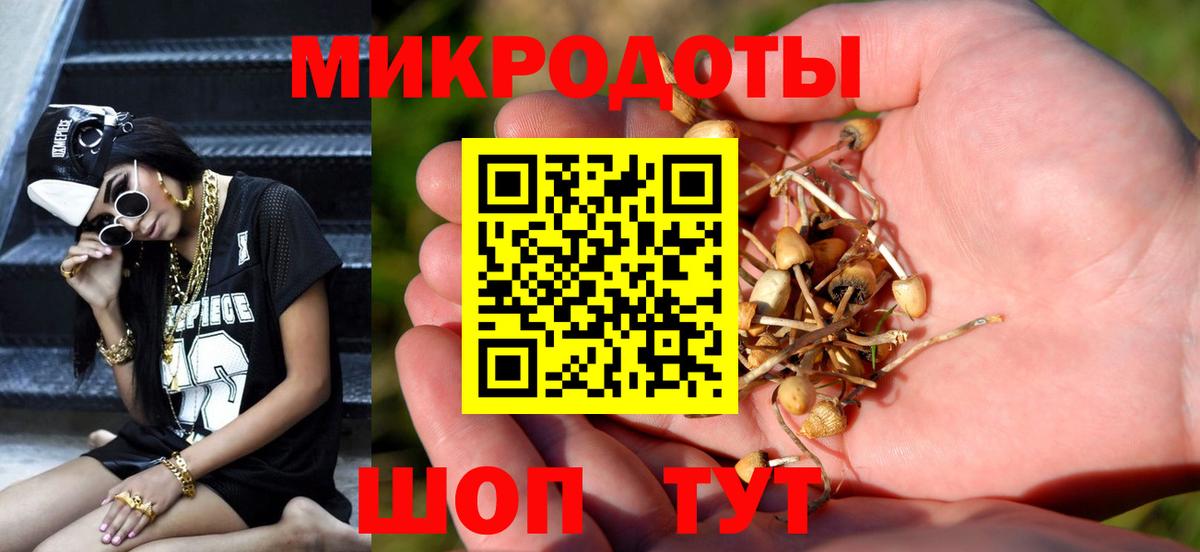 Псилоцибиновые грибы мицелий Аша