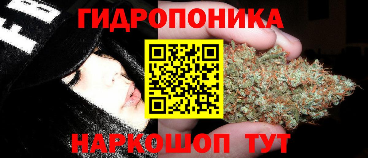 Конопля ГИДРОПОН  Марихуана индика  Канабис сатива  Аша  Вход с VPN 